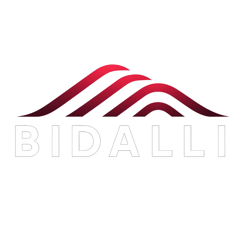 Equipo BIDALLI Software